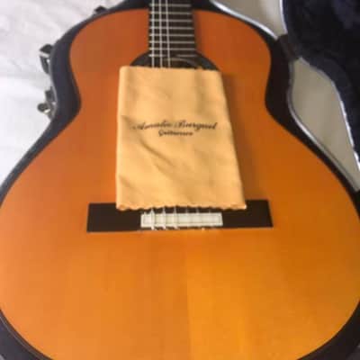 Amalio Burguet Flamenco Guitar "Negra" one piece Indian Rosewood back and sides. 2017 Flamenco Oran image 10