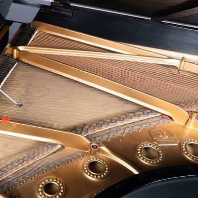 Steinway And Sons B Piano 1905 - Mahogany image 13