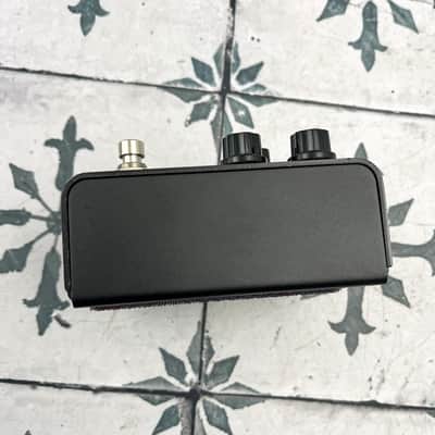 Strymon Iridium image 5