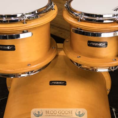 Peavey RBS-1 7-Piece Drum Set w/ Radial Pro 1000 8" Tom | 22/16/14/12/10/8/14SN image 2