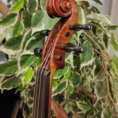 A.S. Hill (Seattle) Violin No. 82 — 1924 — Amber-Red — with German Workshop Bow & Case image 13