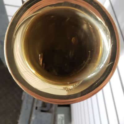 Selmer SAS301 Student Premium Alto Saxophone 2021 - Present - Lacquered Brass image 12