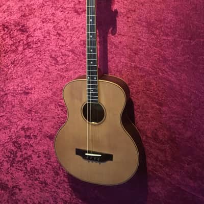 Ozark 3372 Tenor Acoustic Guitar inc hard case image 1