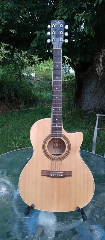 Rogue Acoustic/ Electric image 1