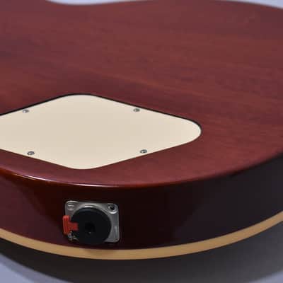 2008 Gibson Les Paul Standard Heritage Cherry Sunburst w/OHSC image 12