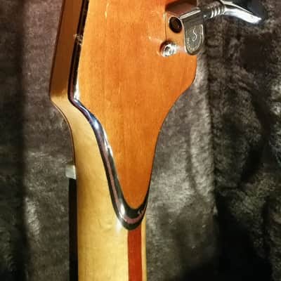 Ribbecke  Bass 1982 Vintage Custom Thunderbird Bass Very Very Rare 1 of 4 image 7