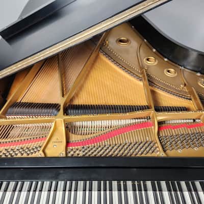 Baldwin L 6'3" Grand Piano Mfg 1964 in the USA Great Tone and Character * Free 1st floor NJ Delivery! image 8
