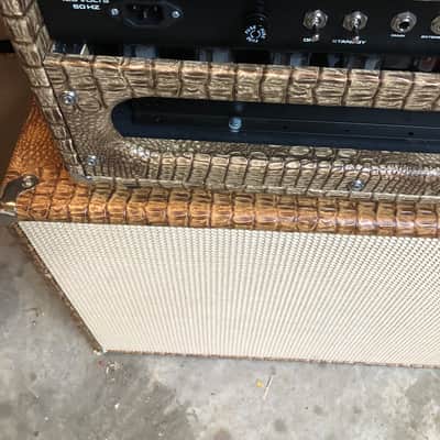 Sebago  Double Trouble DUMBLE 100 Watt Head and Cabinet 2017 Crockadile image 5