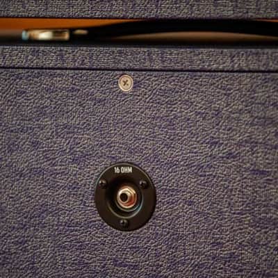 Divided by 13 BTR 23 Amplifier and 1x12 Cabinet - Amethyst Bronco image 15