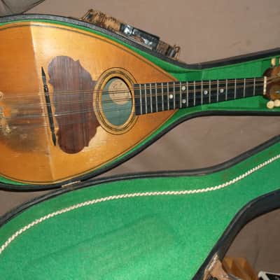 C. Bruno mandolin 1890's - origional image 1