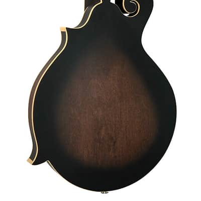 Gold Tone F-Style 6-String Acoustic Electric Mandolin-Guitar w/ Hard Case image 10