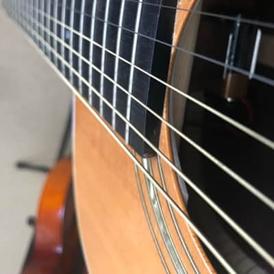 Guild DV-52 NTS (Satin Finish) 1997 - Satin | Reverb