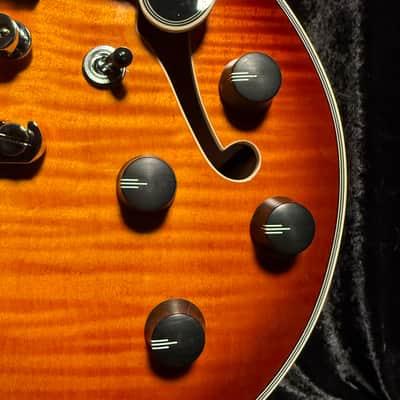 D'Angelico Premier Mini DC Dark Iced Tea Burst With Free Gig Bag image 6
