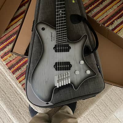 Strandberg Guitars Strandberg Limited-edition Salen APS Monochrom Electric Guitar - Monochrom 2024 image 1