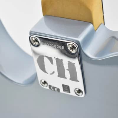 Chrissie Hynde Fender Telecaster image 5