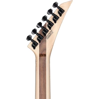 Jackson Pro Series Rhoads RR24 Electric Guitar, Snow White image 8