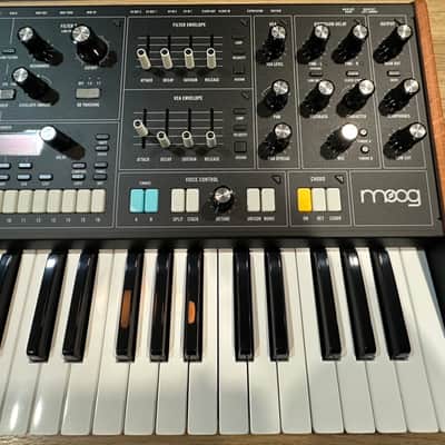 Moog Muse 2024 - Black image 9