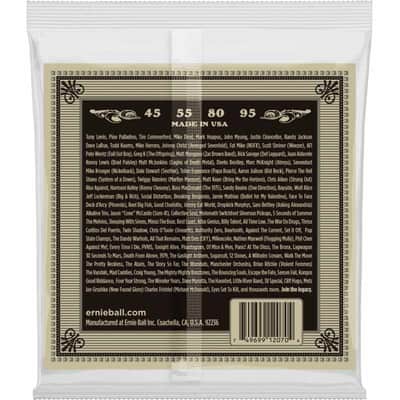 Ernie Ball 2070 Earthwood basse acoustique 45-95 image 2
