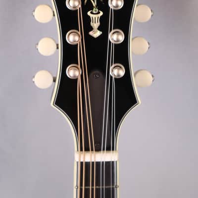 Bourgeois M5-F-SB: F-style, F-hole Mandolin (Sunburst) Aged Tone Adirondack Spruce Top, Aged Tone European Maple back and sides. 2026 image 15