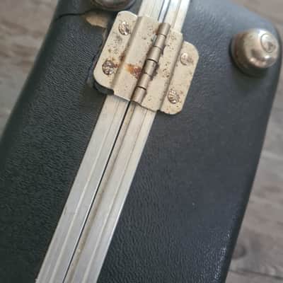 Peavey EVH Wolfgang hard case 2005 image 8