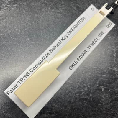 Fatar Replacement Weighted G Key (TP/9S Keybeds) for Pro-2, Prophet-08, Prophet-12, Mopho Keyboard, Mopho SE, Mopho X4, E-Mu XK-6/MK-6/PK6, Ensoniq Halo
