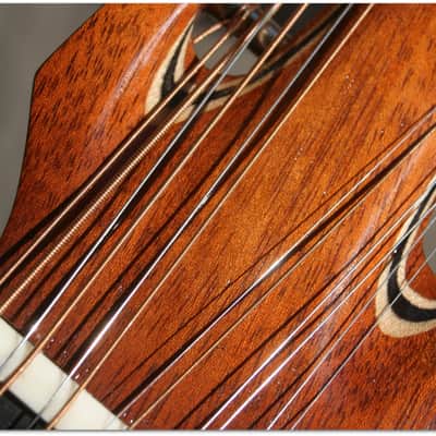 Toxo Luthier "Guitar Laúd" Amazing and unique piece complete handmade by the master luthier TOXO image 22
