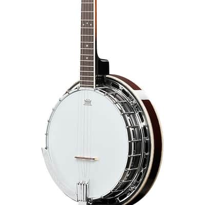 Ibanez BA250 USA 250th Anniversary Resonator Banjo - Eagle image 3