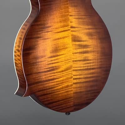 Northfield F2S Oval Hole w/ Red Spruce Top & Wide Nut (#S2501448) image 11