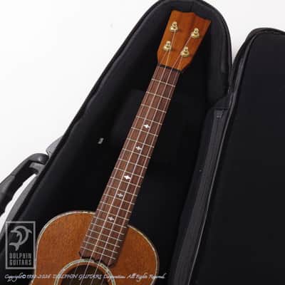 KAWAKAMI GUITARS＜MIJ> T-1M DX 2006 image 7