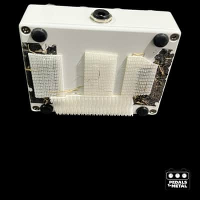 browne amplification protein v2 - X12235 image 6