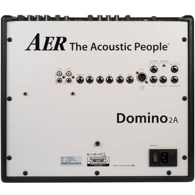AER Domino 2A | 100W 2x8" +Tweeter Acoustic Combo. New with Full Warranty! image 3