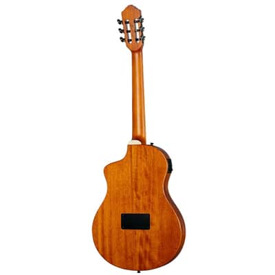 Ortega TourPlayer Series Thinline Crossover Electric Nylon Guitar w/Bag image 11
