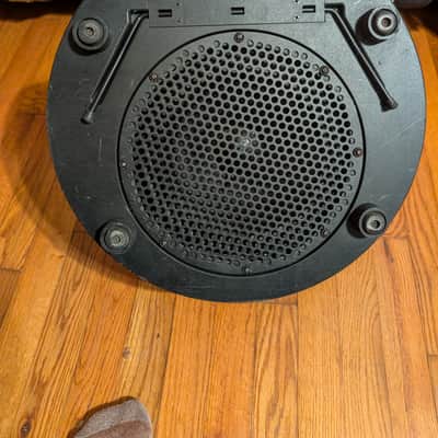 Acoustic Image amp (Rare - Great for Upright) image 3