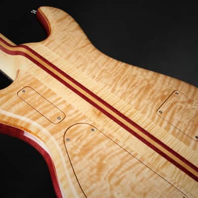 Alembic Further 6 - Buckeye Burl - Resin Top image 15