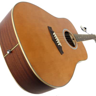 Tanglewood TW28 CLN Evolution Acoustic Guitar in Natural Satin image 10