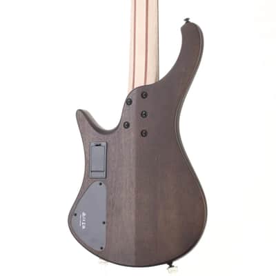 IBANEZ EHB605 Walnut Flat [I251208611] (06/15) image 5