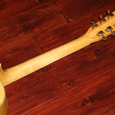 1971 Ibanez Concord model 699 image 7