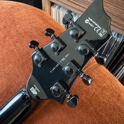 ESP LTD FRX-401 2015 - 2017 - Black image 10