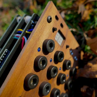 Ellitone Osage Modular Synthesizer System #000 image 11