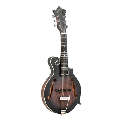 GOLD TONE F-6 Gitarren-Mandoline image 1