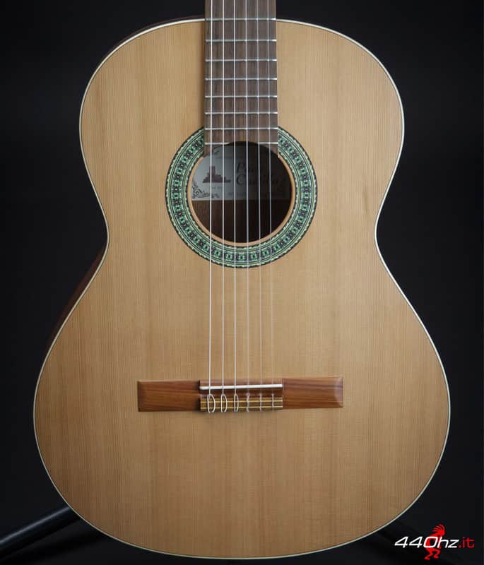 Paco Castillo 201 M Matte Finish Classical Guitar image 1