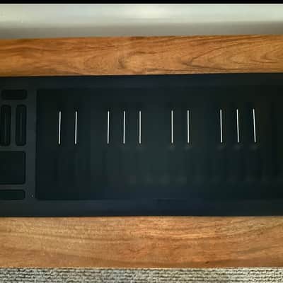 ROLI Seaboard RISE 25 2010s - Black image 1