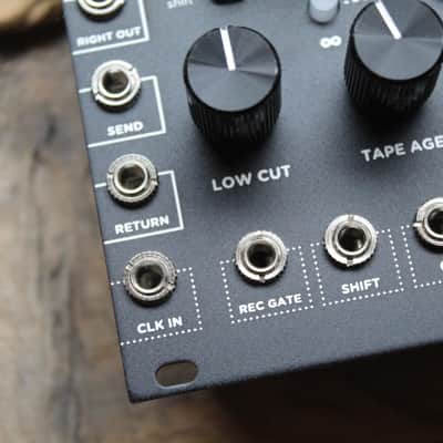 STRYMON "Magneto Four Head dTape Echo and Looper Eurorack Unit, Black image 7