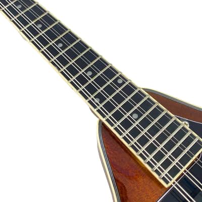 A-Style 8-String Acoustic-Electric Mandolin with Built-In Pickup, Gig Bag & Accessories image 5