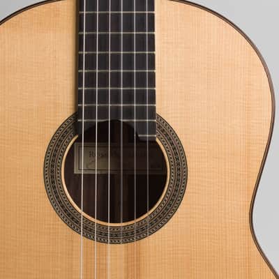 Ross Gutmeier Classical Guitar (2016), black hard shell case. image 15
