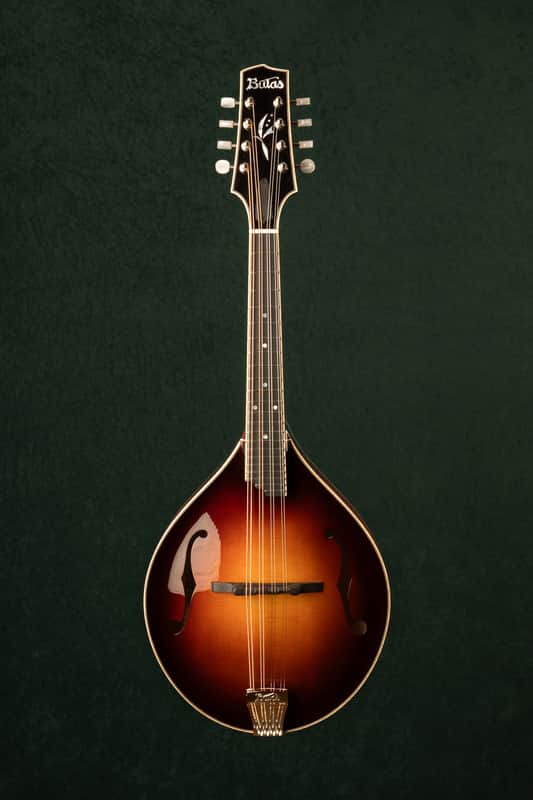 Bulas Artemis A mandolin - 12/2025 image 1