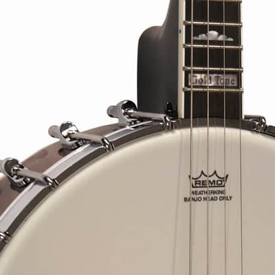 Gold Tone Model IT-250 Irish Tenor 4-String Open Back Banjo with Case image 9