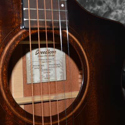 2023 Breedlove - Wildwood Pro Series Concert Suede CE image 3