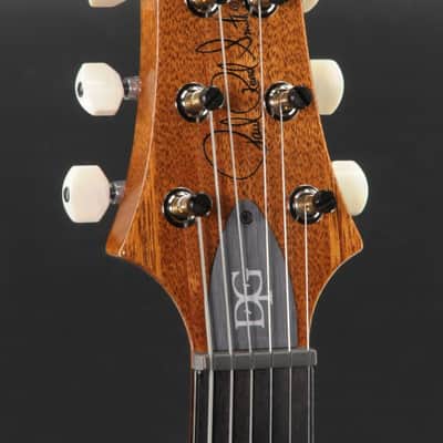 Paul Reed Smith DGT Semi-Hollow w/ Birds - Faded Blue Jean image 6