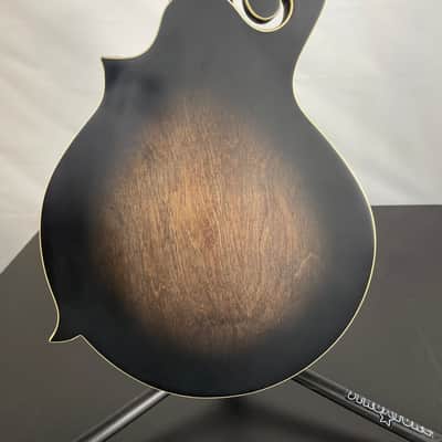 Gold Tone F-12 Long-Scale Manditar A-Style 12-String Acoustic-Electric Mandolin/Guitar, Solid Spruce Top, Tobacco Sunburst Satin image 5